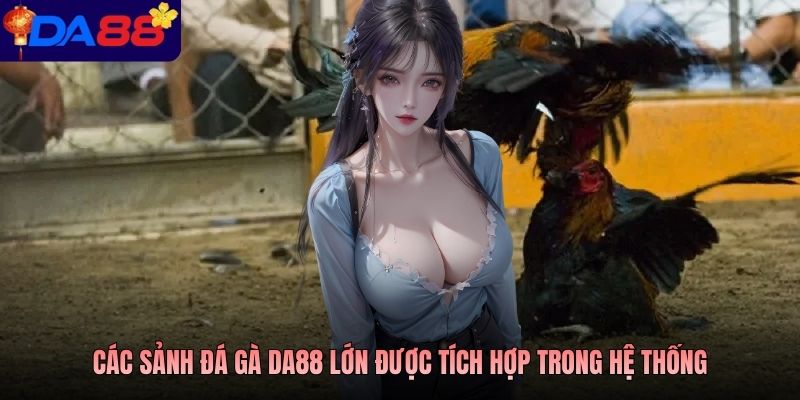 Các sảnh đá gà Da88 lớn được tích hợp trong hệ thống