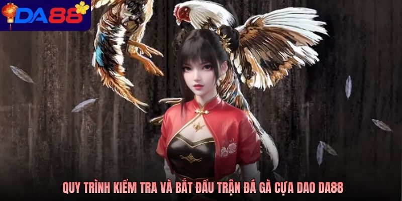 Quy trình kiểm tra và bắt đầu trận đá gà cựa dao DA88