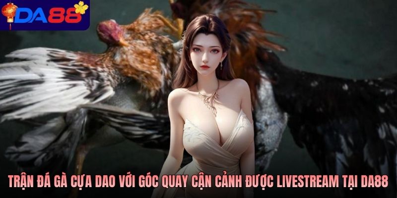 Trận đá gà cựa dao với góc quay cận cảnh được livestream tại DA88